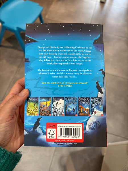 Murder At Wintertide