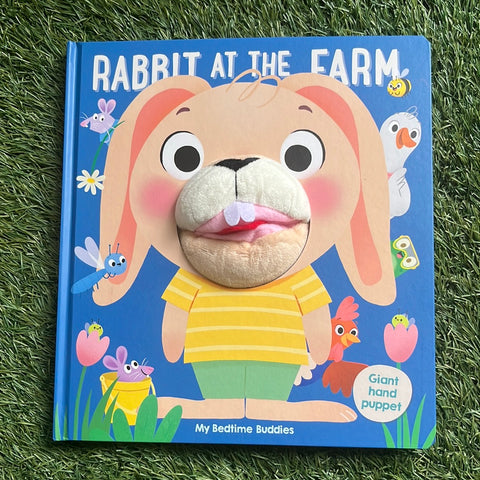 Rabbit At The Farm