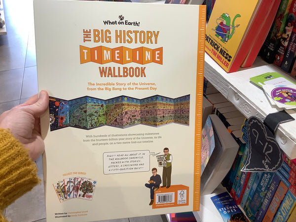 The Big History Timeline Wallbook