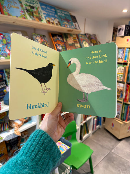 Look! A Bird