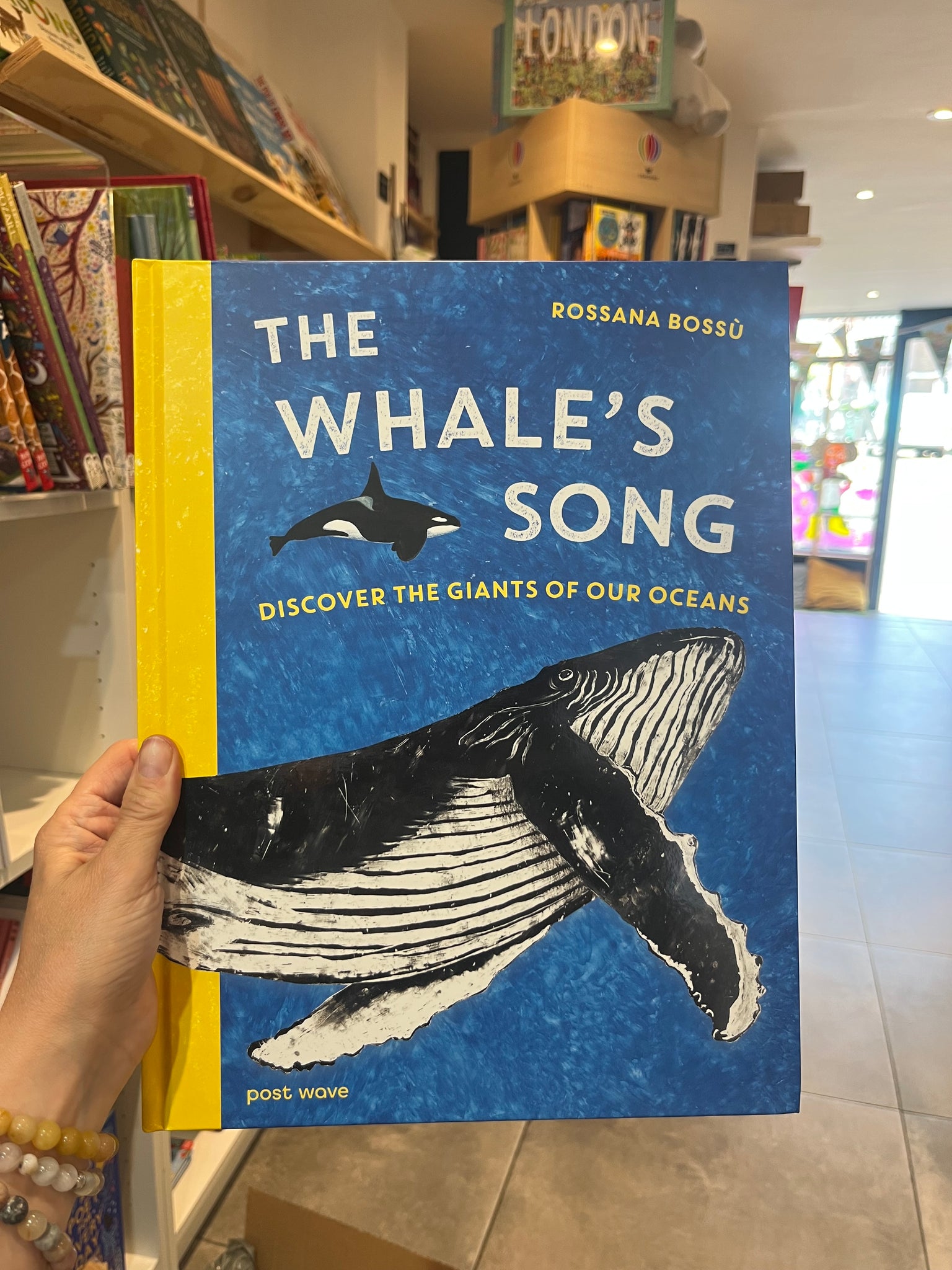 The Whale Song