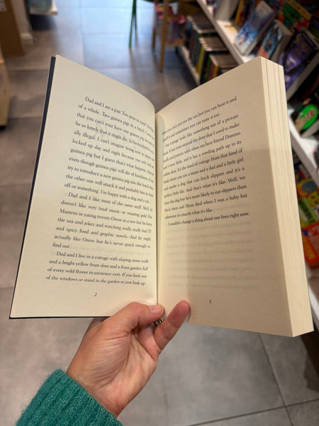 The Light in Everything