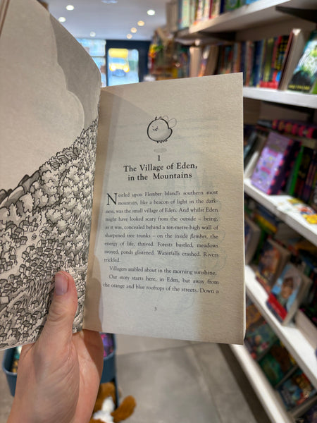 Flember - The Secret Book #1