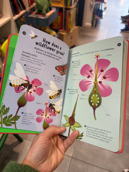 National Trust: Out and About Wildflower Spotter : A children's guide to 65 different wildflowers