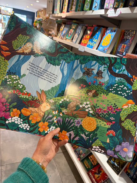 Hide and Find in the Forest