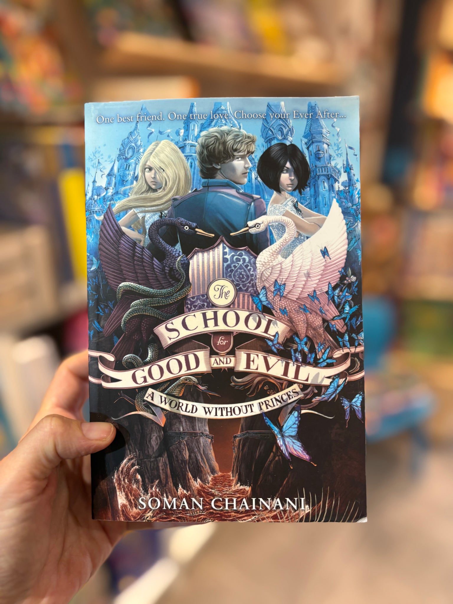 The School of Good and Evil A World Without Princes (book 2)