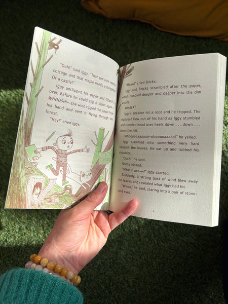 The Questioneers Iggy Peck and the Mysterious Mansion