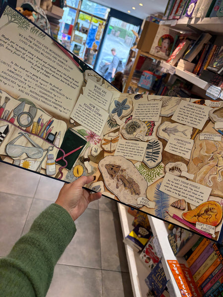 The Fossil Keeper’s Treasure