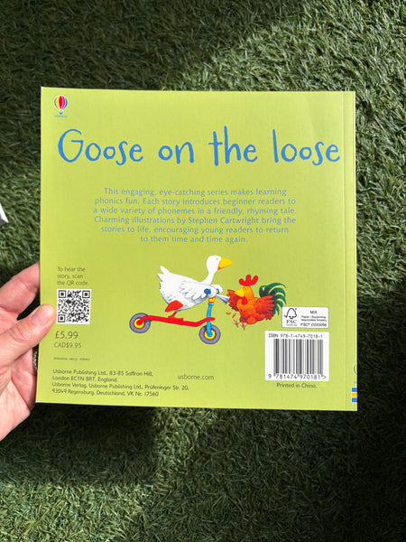 Usborne Phonic Readers Goose on the Loose