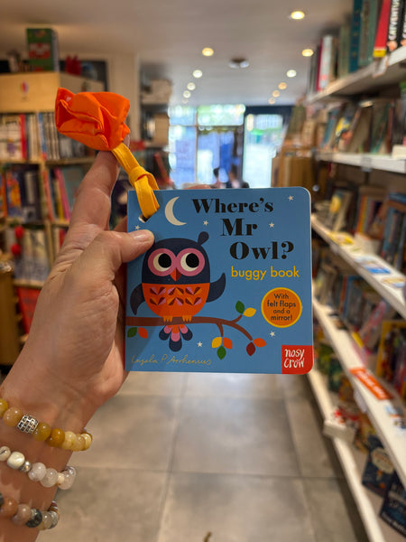Where’s Mr Owl? Buggy Book