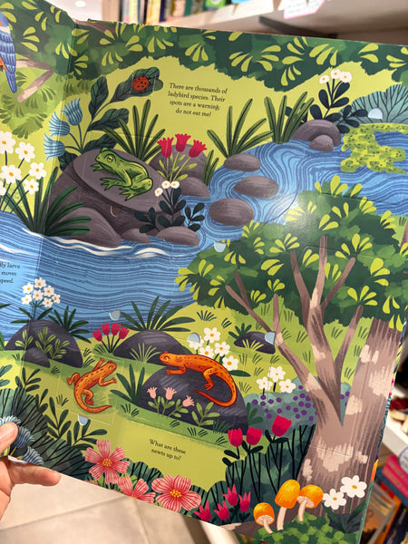 Hide and Find in the Forest