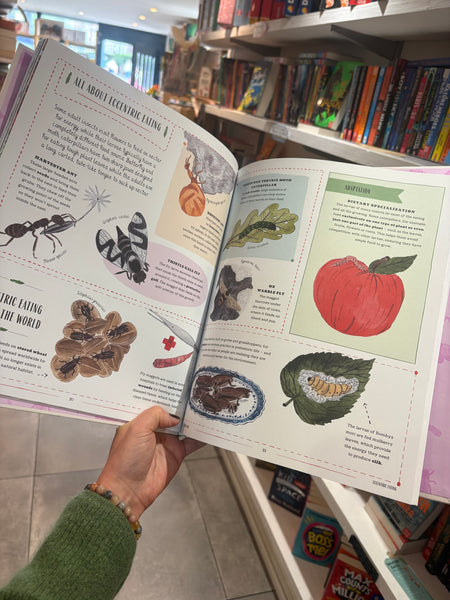 Buzz : A child's guide to bugs and bees and how to spot them