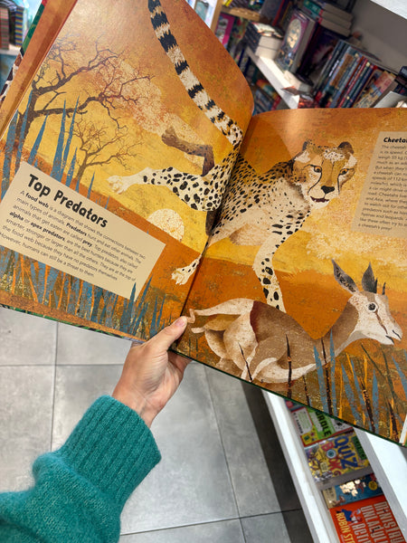 Barefoot Books Incredible Animals
