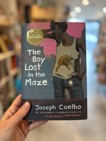 The Boy Lost in the Maze