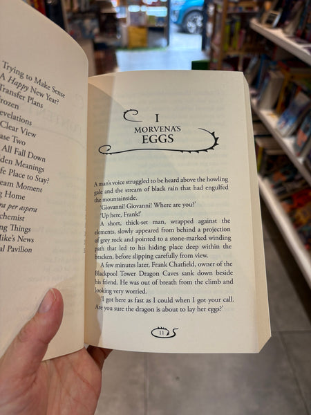 Dragon Racer. Legacy of Fire (book 2)