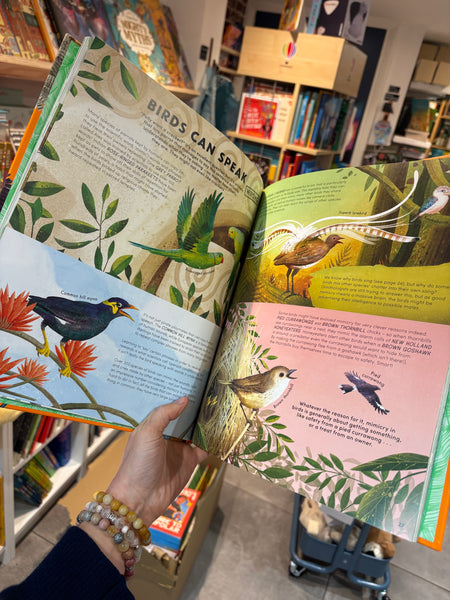 Everything You Know About Birds Is Wrong!