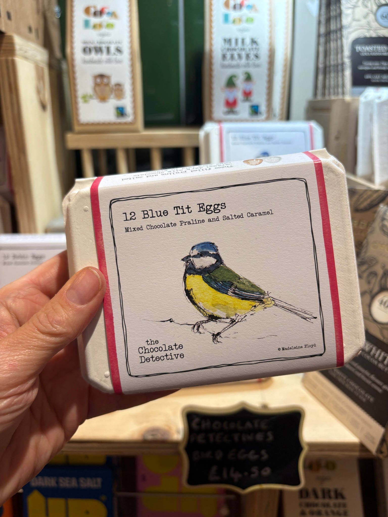 The Chocolate Detectives- 12 Blue Tit Eggs