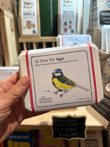 The Chocolate Detectives- 12 Blue Tit Eggs