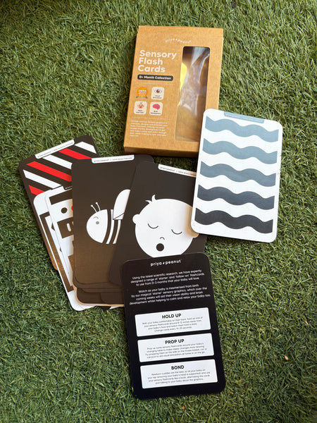 Priya & Peanut 0+ Months Sensory Flash Cards