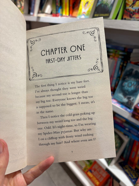 Dream Weavers Night of the Scary Fairies