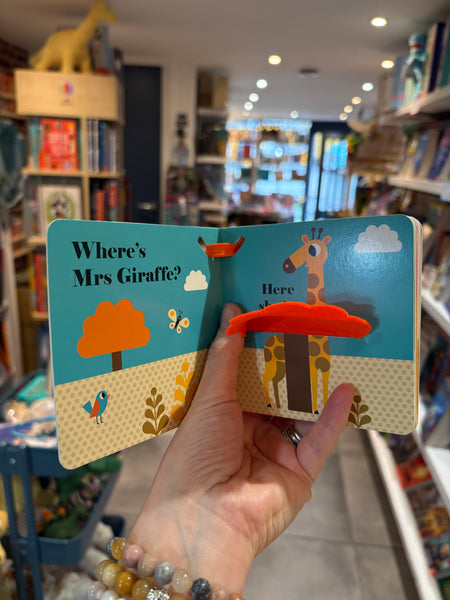 Where’s Mr Lion Buggy Book