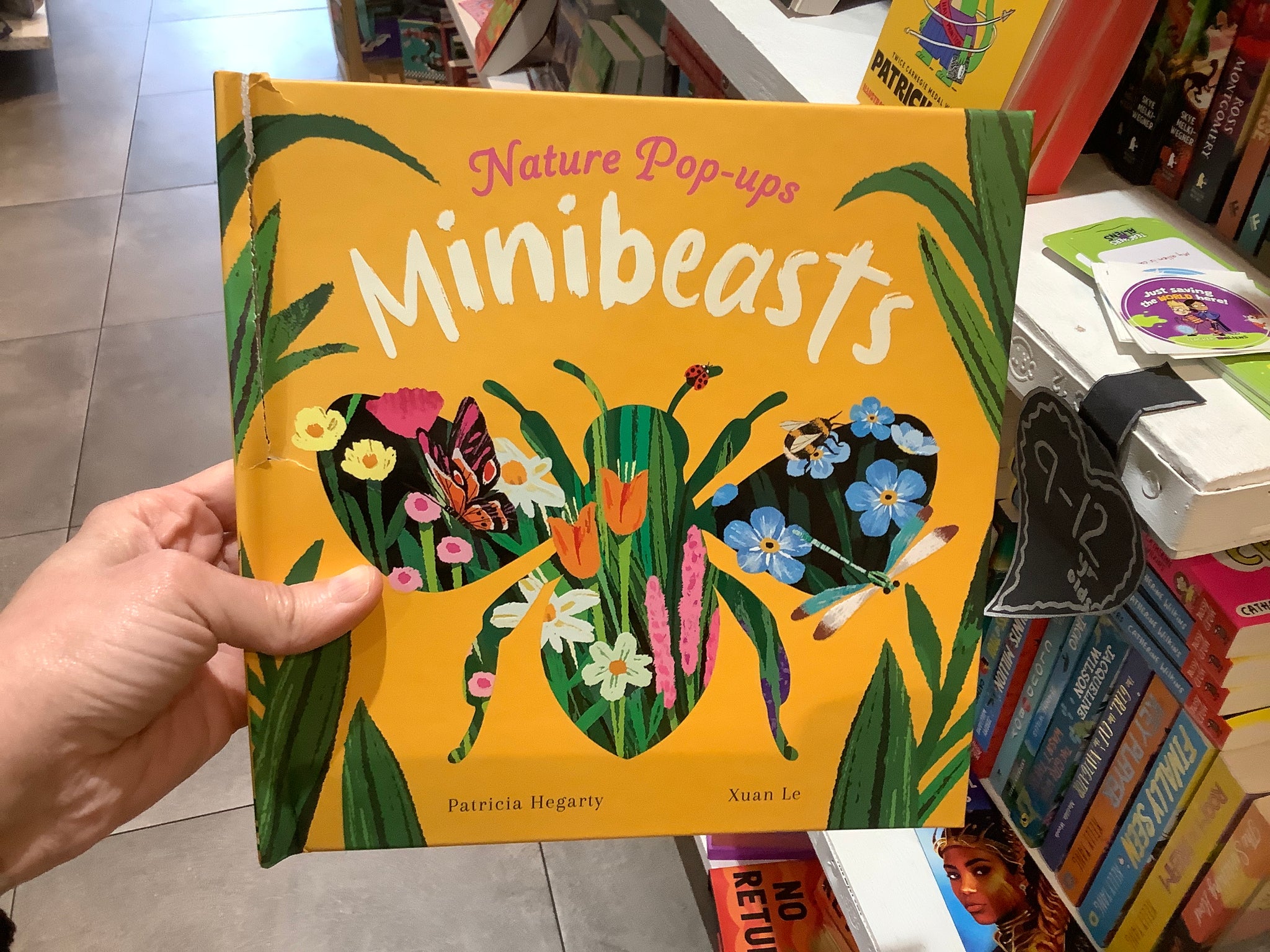 Nature Pop- Ups Minibeasts