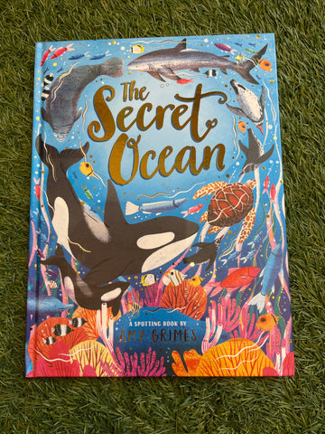 The Secret Ocean