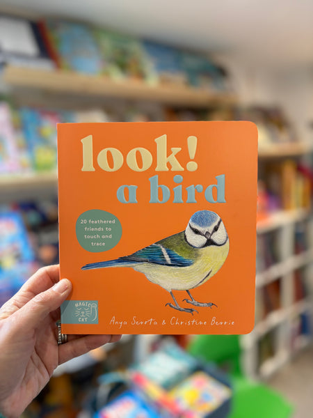 Look! A Bird