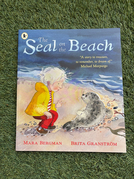 The Seal on the Beach