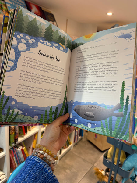 Stories From The Wild