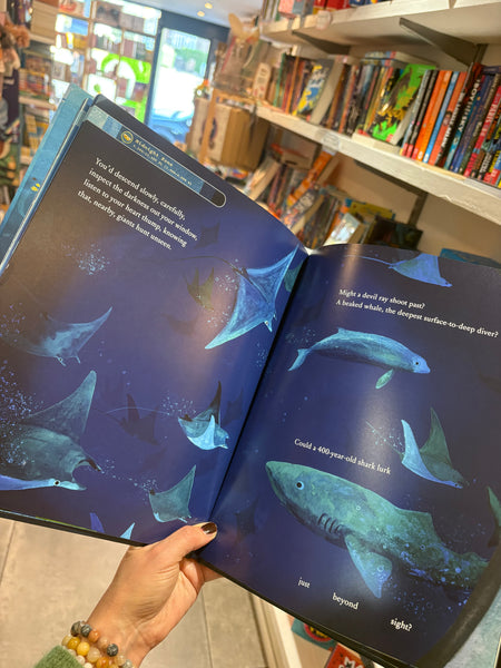 If You Went to the Bottom of the Ocean