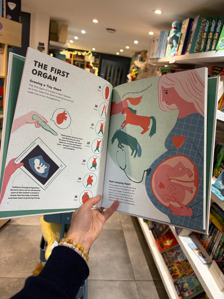 The Heart - History, Science and Lots of Love