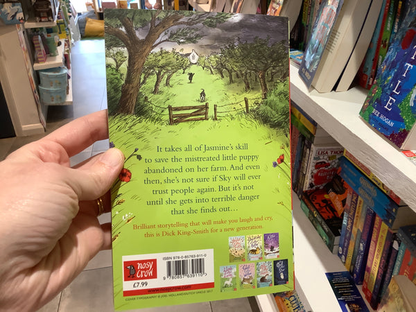 A Sheepdog Called Sky