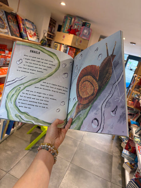 A First Book of Bugs