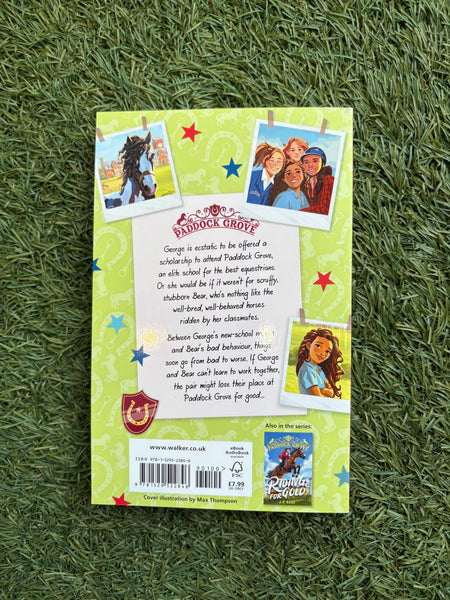 Paddock Grove - A Pony to Own