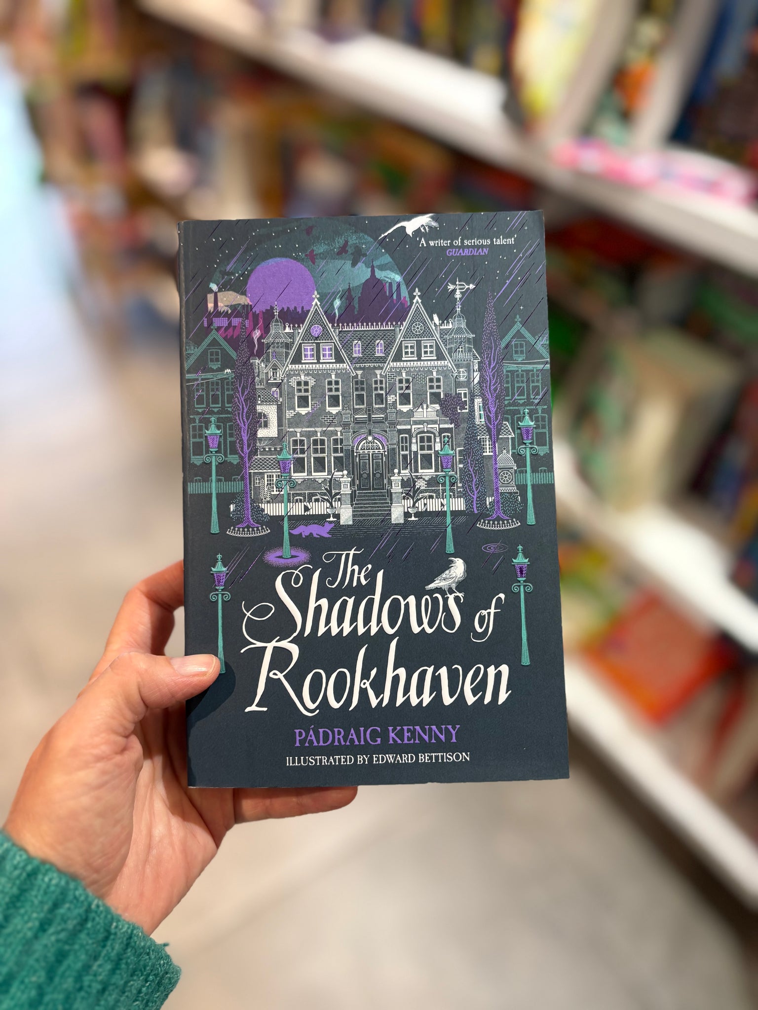 The Shadows of Rookhaven