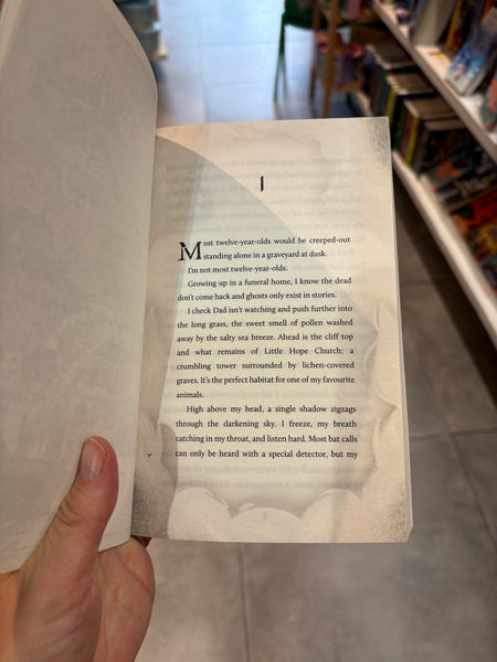 Spooksmiths Investigate The Cinderman