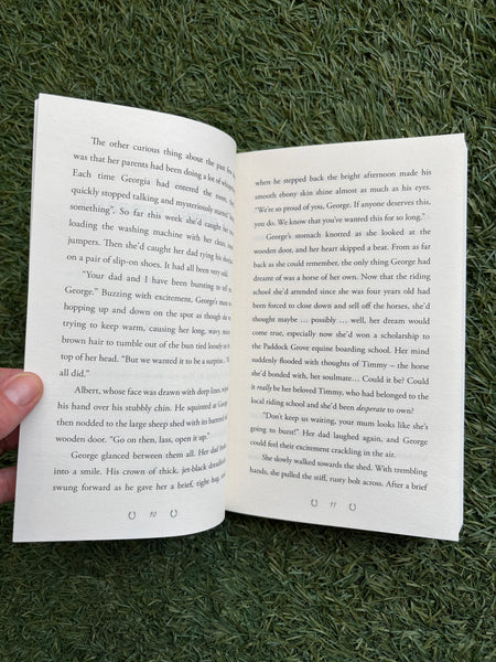 Paddock Grove - A Pony to Own