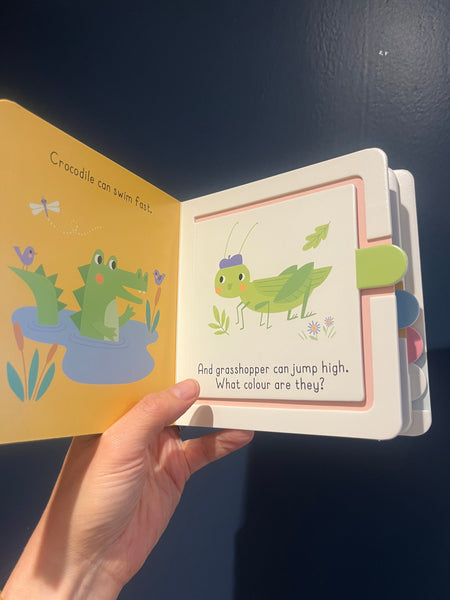 Chunky Lift-a-flap Book Colours