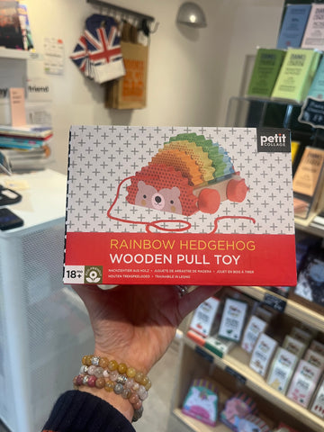 Rainbow Hedgehog Wooden Pull Toy