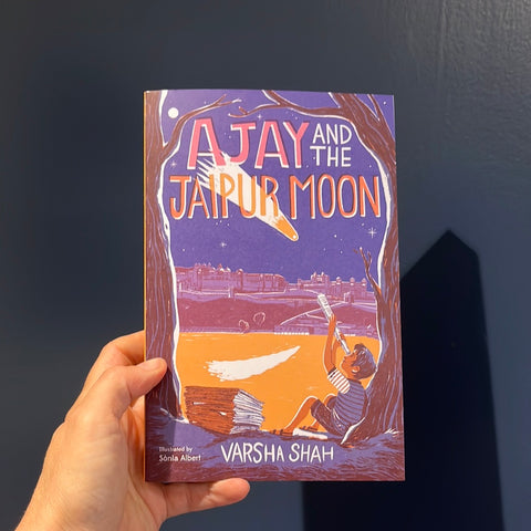 Ajay And The Jaipur Moon