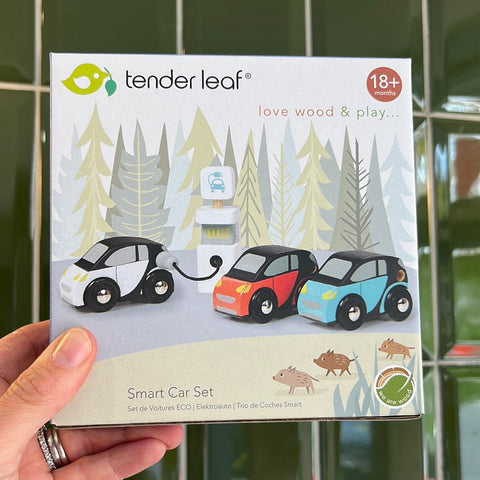 Smart Car Set
