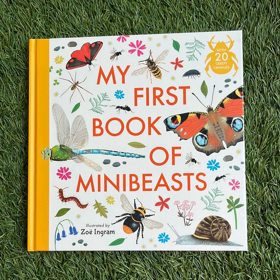 My First Book of Minibeasts