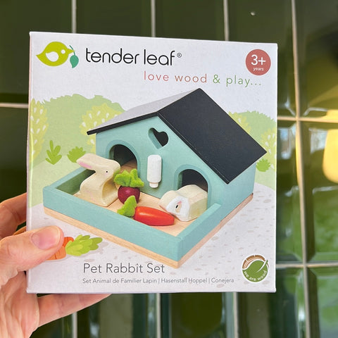 Pet Rabbit Set