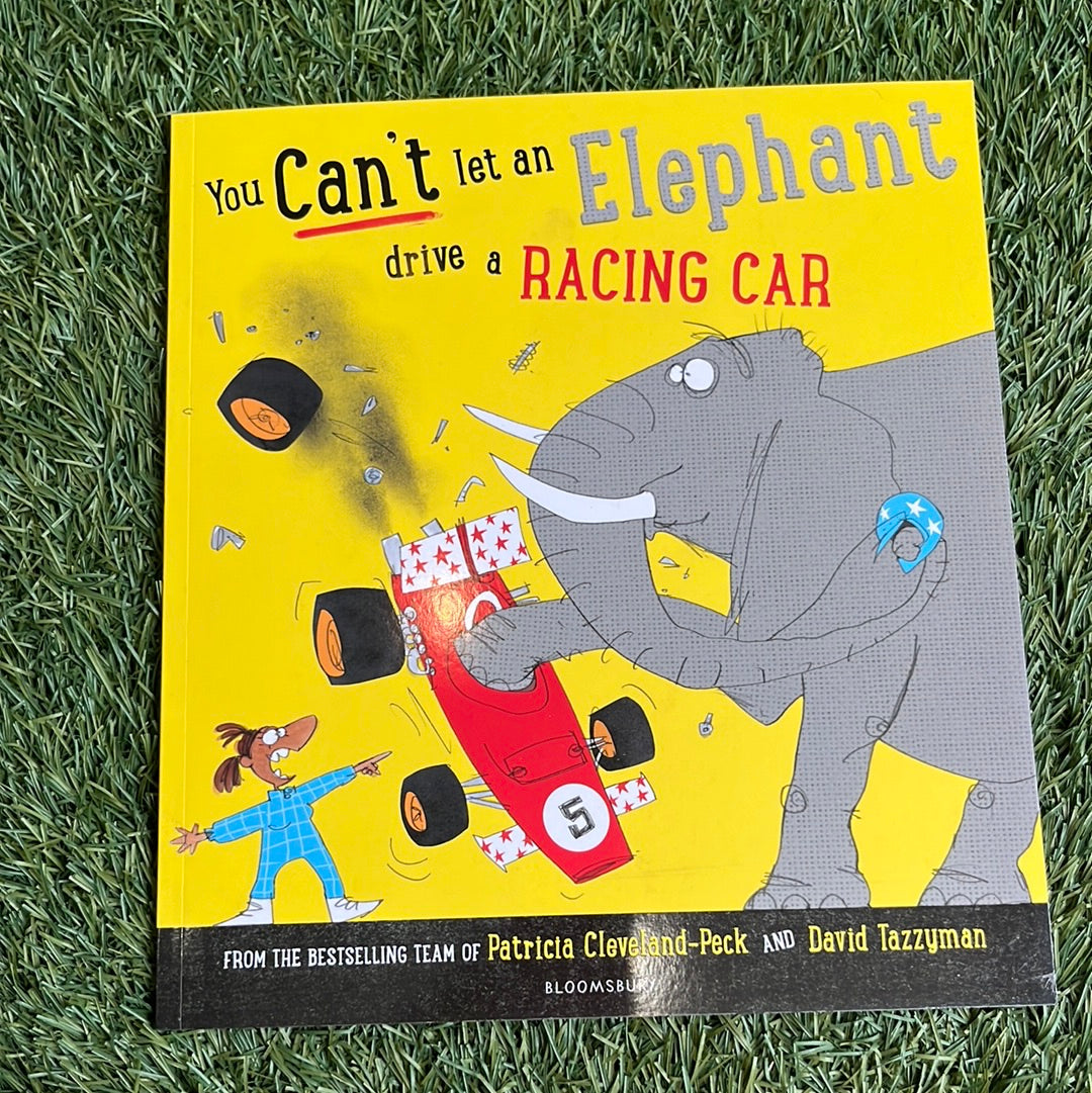 You Can’t Let An Elephant Drive A Racing Car