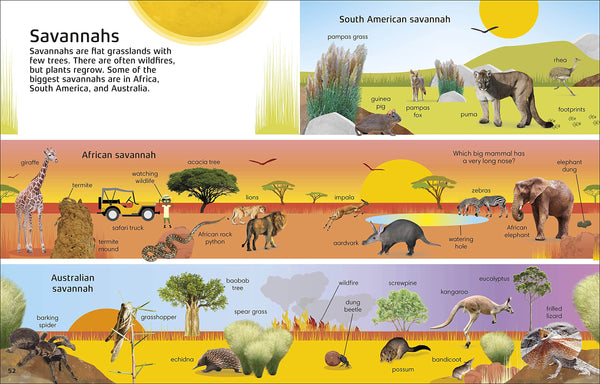 1000 Words: Nature clearly labels each picture, which encourages picture-and-word association and helps early reading. Each topic features questions that ask children to find things on the page or that stimulate thinking, talking, and reading comprehension skills. The words include lots of useful nouns, plus some interesting adjectives and common verbs related to wildlife and the planet.