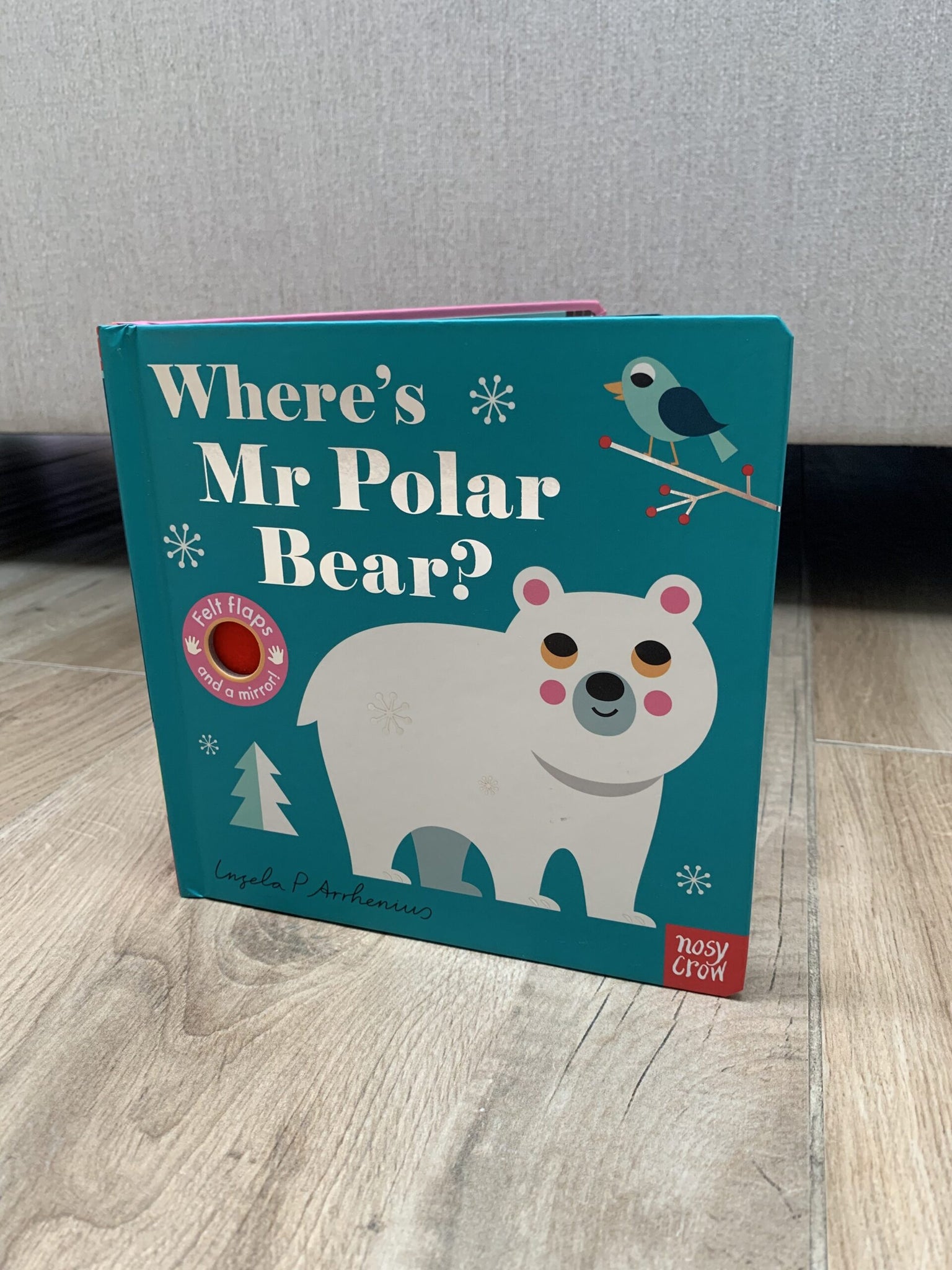 Where's Mr Polar Bear?