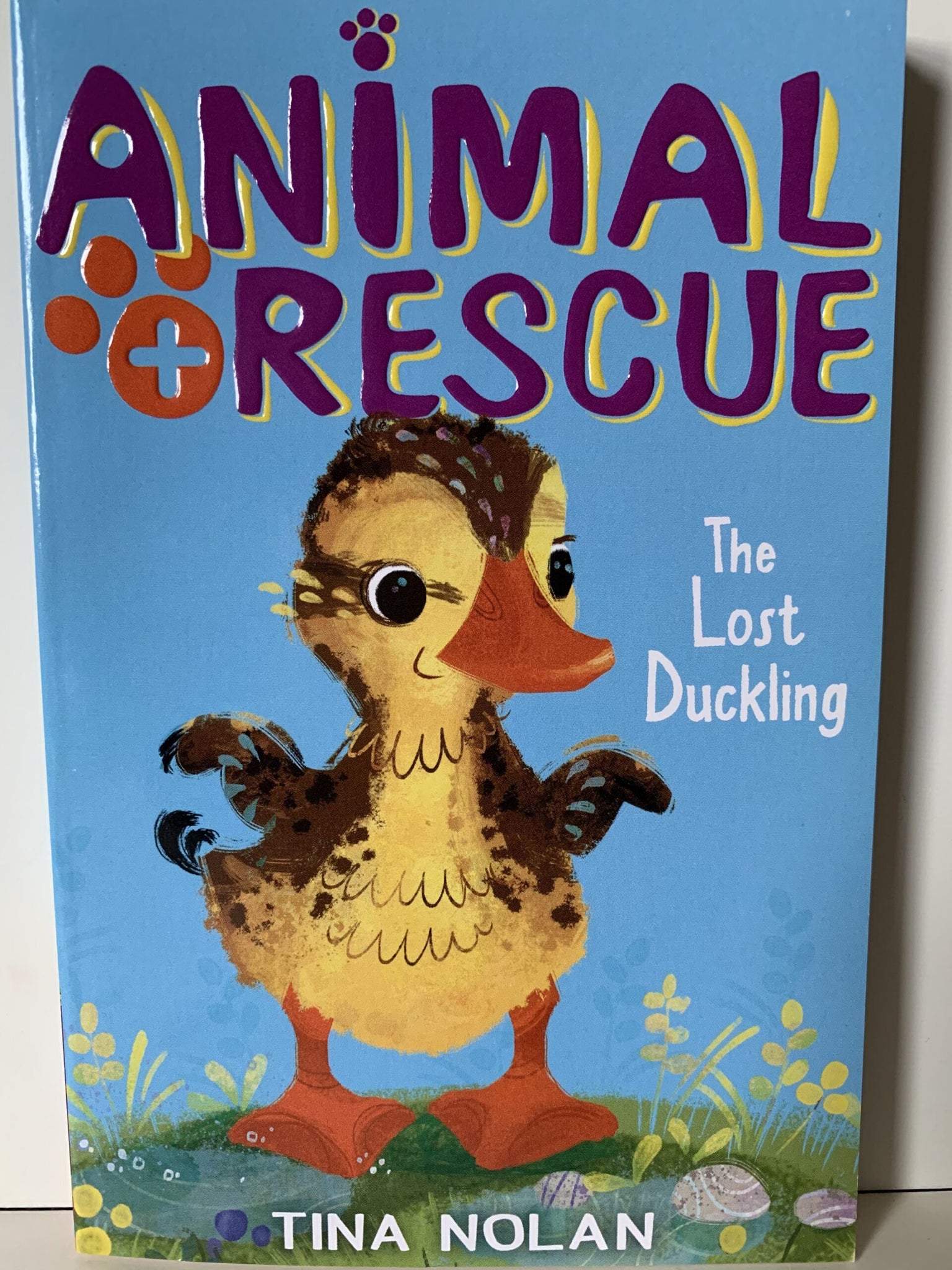 When Eva sees a family of ducks on the river, she falls in love with the tiniest duckling and names her Dilly. Then the ducks move from the riverbank and Dilly goes missing. Eva is determined to find her, but where do you start looking for a timid duckling?