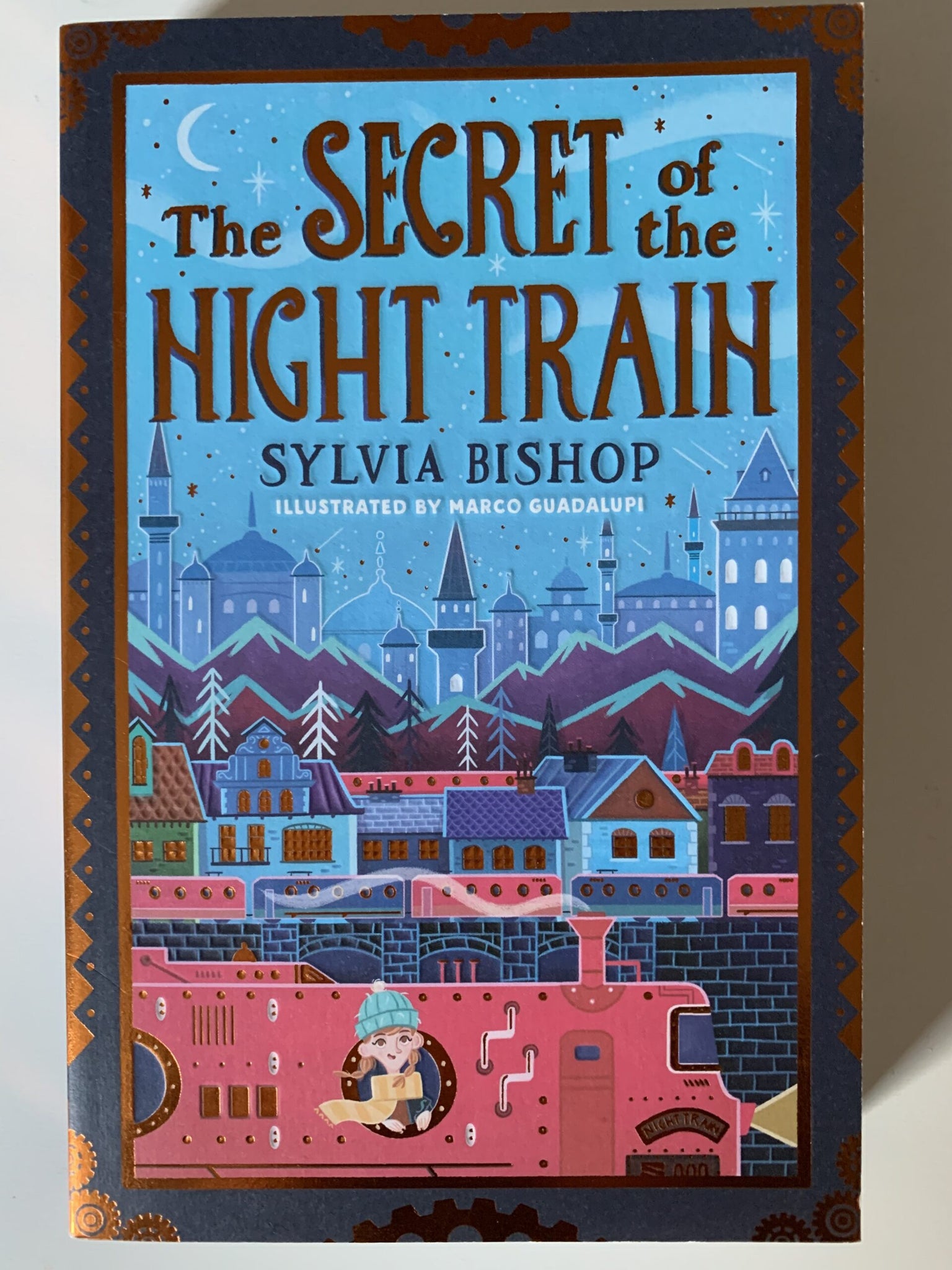 The Secret of the Night Train