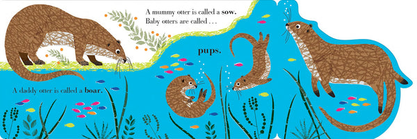 Find out the different names for mummy and daddy animals by the river - and then lift the big, sturdy flaps to find the babies, with a double flap and peekaboo holes on the final spread! A striking, satisfying introduction to animal families from printmaker Jane Ormes, with eye-catching artwork using bold neon ink to capture the attention and imagination of babies and toddlers.